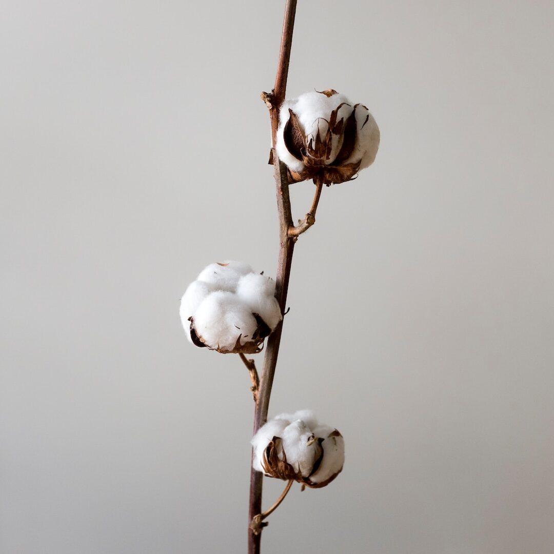 white round ornament on brown stick